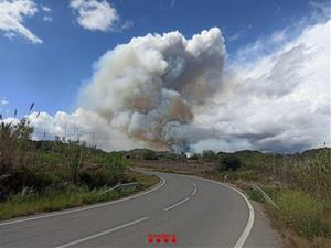 Els bombers treballen en un incendi forestal declarat a Bonastre. Bombers
