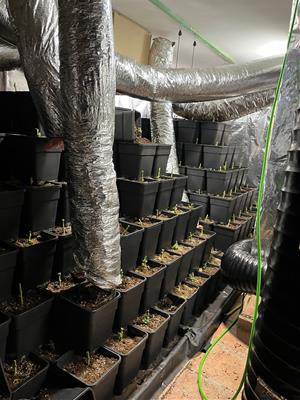 Els Mossos d’Esquadra desmantellen dues plantacions de marihuana a Canyelles en menys de 10 dies