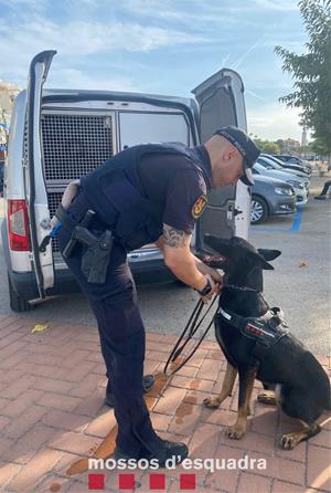 Els Mossos d'Esquadra es refermen com a policia integral a través del dispositiu especial per la Copa Amèrica de Vela a Vilanova i la Geltrú