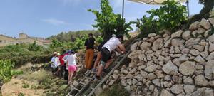 En marxa el camp de treball internacional de joventut a Subirats, restaurant patrimoni de pedra seca. Rosa Vendrell