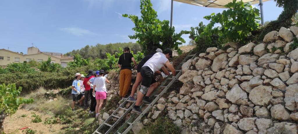 En marxa el camp de treball internacional de joventut a Subirats, restaurant patrimoni de pedra seca. Rosa Vendrell