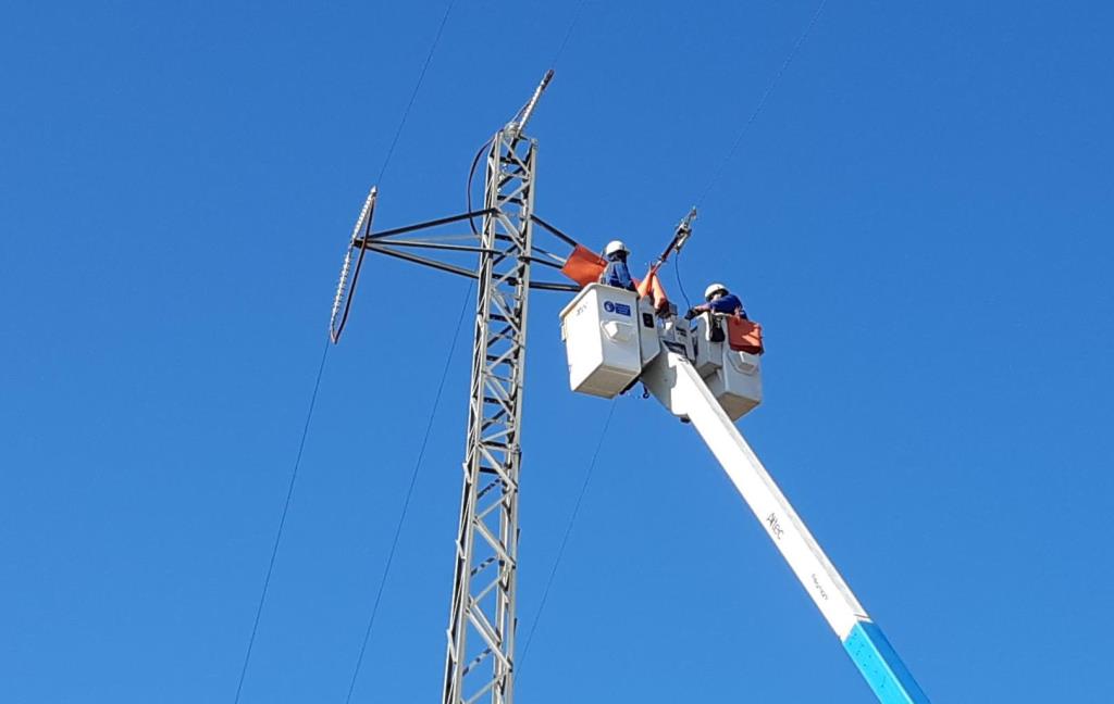 Endesa adapta cinquanta-cinc suports de set línies elèctriques de l'Alt Penedès per a protegir la fauna. Endesa