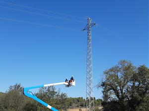 Endesa adapta cinquanta-cinc suports de set línies elèctriques de l'Alt Penedès per a protegir la fauna