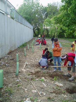 Es planten 60 arbres de ribera en una acció de reforestació a la riera de Llitrà