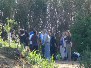 Es planten 60 arbres de ribera en una acció de reforestació a la riera de Llitrà