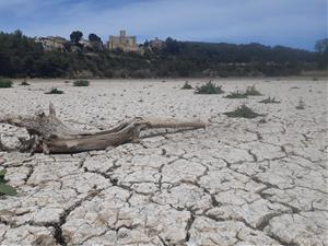 Estat actual del pantà de Foix. Xavier Prat