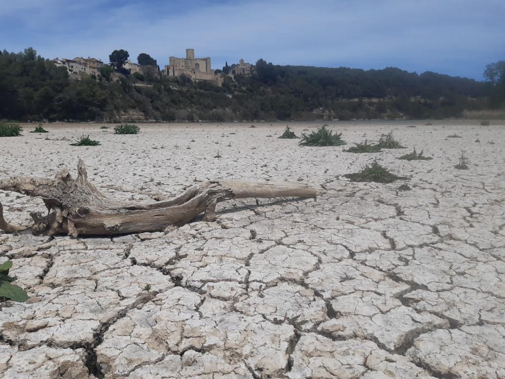 Estat actual del pantà de Foix. Xavier Prat