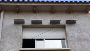 Èxit rotund del projecte pilot de protecció de l’oreneta cuablanca a Banyeres del Penedès. Ajuntament de Banyeres