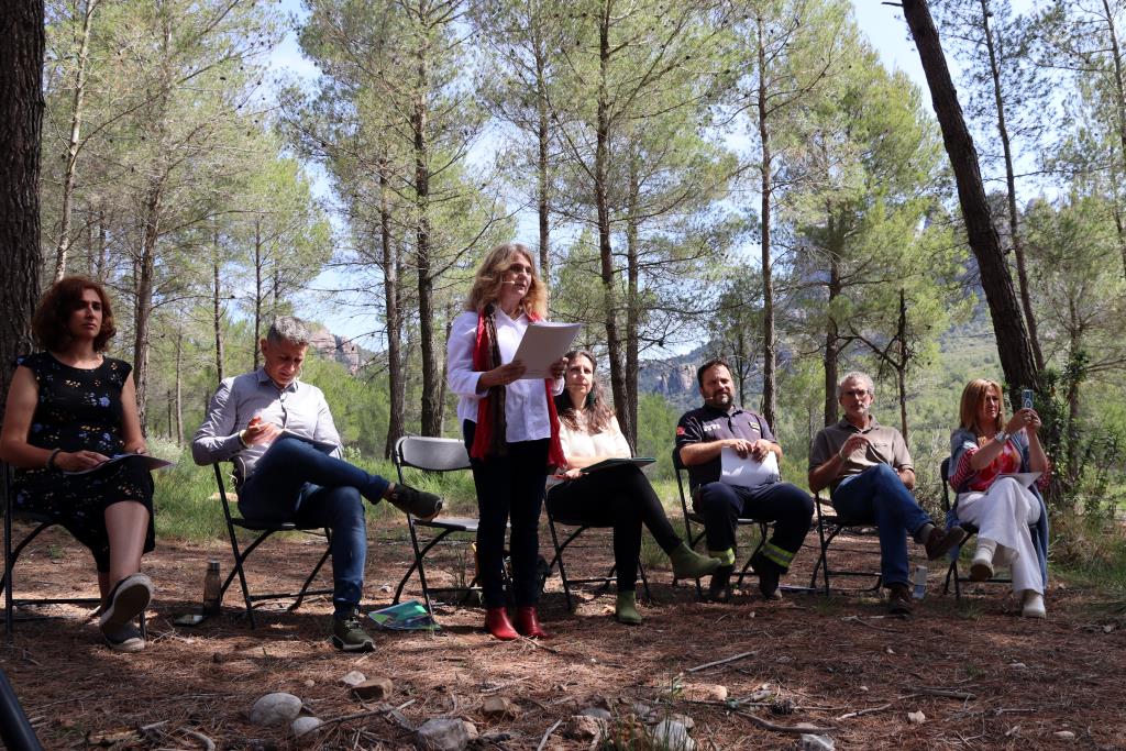 Experts reclamen que es gestioni cada any almenys l'1% de la superfície forestal espanyola i s'hi destinin 1.000 MEUR. ACN