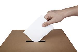 Imatge d'un votant. Eix