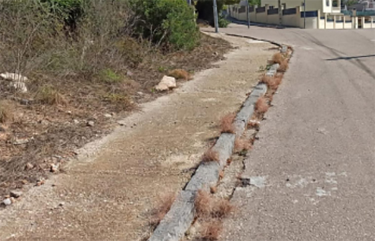 Imatges recents de carrers del Nou Vendrell, dies després d’aplicar glifosat . Eix