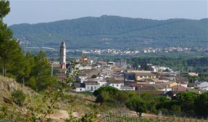 La Bisbal del Penedès. Eix