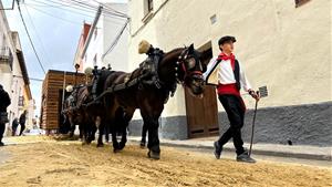 La Bisbal del Penedès ultima els preparatius per celebrar els Tres Tombs aquest diumenge. Ajuntament de la Bisbal