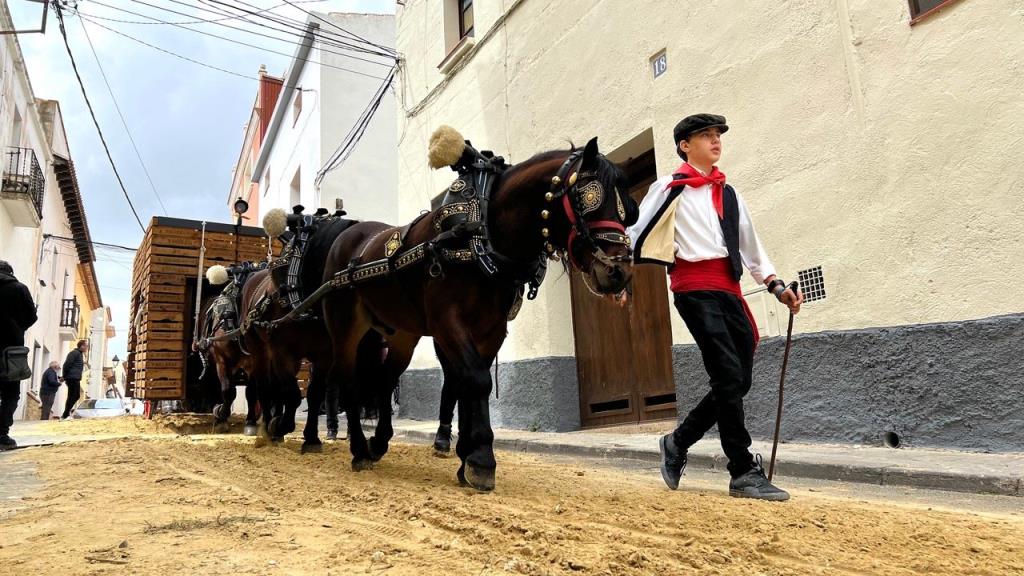 La Bisbal del Penedès ultima els preparatius per celebrar els Tres Tombs aquest diumenge. Ajuntament de la Bisbal