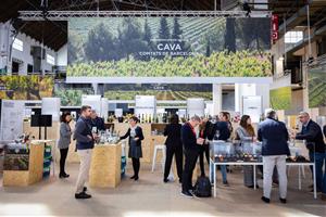 La DO CAVA presenta a la Barcelona Wine Week tastos de caves de màxim nivell. DO Cava