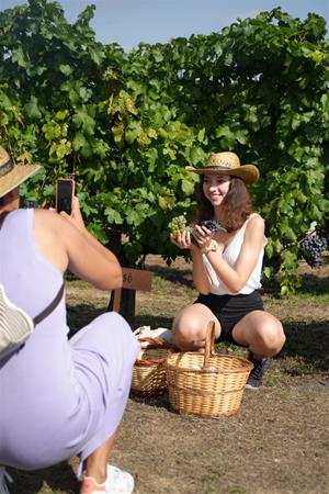 La Festa de la Verema de la Ruta del Vi del Penedès, un reclam turístic que es consolida. Consorci 