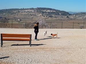 La policia de Vilafranca anuncia una campanya de control dels propietaris de gossos  . Ajuntament de Vilafranca