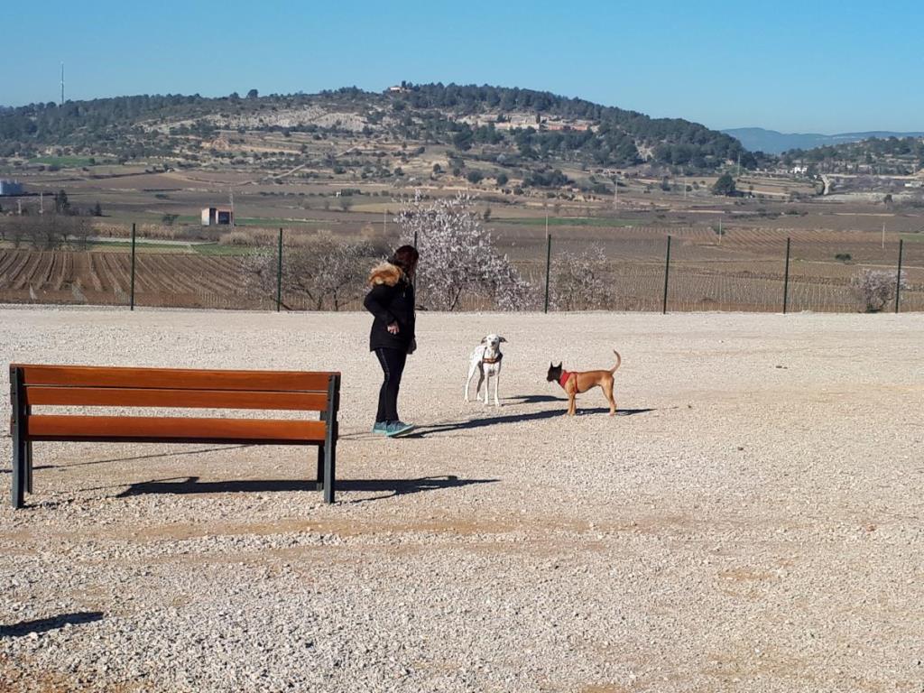 La policia de Vilafranca anuncia una campanya de control dels propietaris de gossos  . Ajuntament de Vilafranca