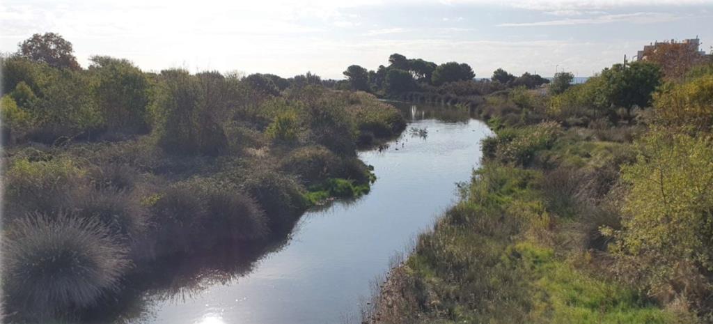 La recuperació del bosc de ribera, principal acció del Pla de gestió de la desembocadura del Foix. Ajuntament de Cubelles