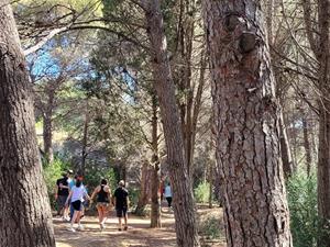 La temperatura nocturna també ha estat força alta per l'època, amb algunes mínimes per sobre dels 15 ºC a Sant Pere de Ribes-Parc del Garraf. Ajt Sant