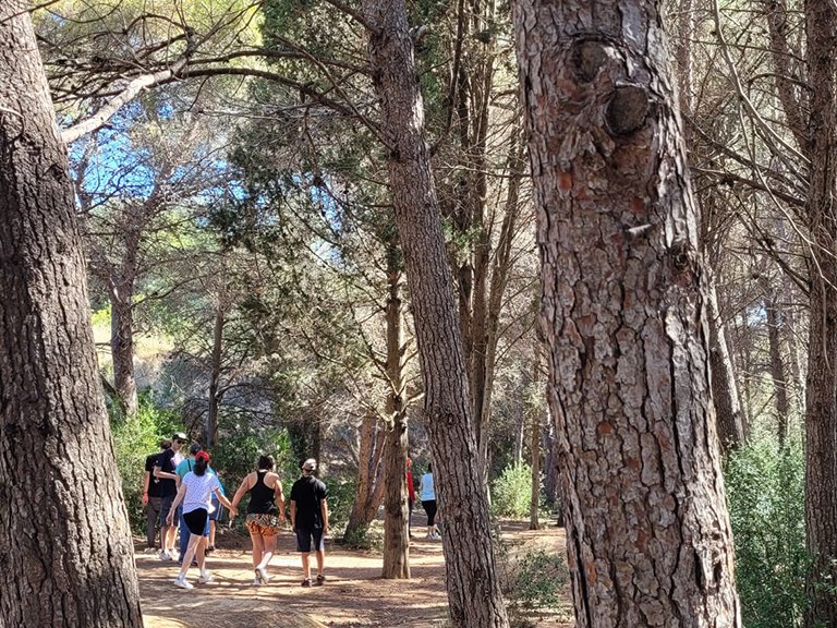 La temperatura nocturna també ha estat força alta per l'època, amb algunes mínimes per sobre dels 15 ºC a Sant Pere de Ribes-Parc del Garraf. Ajt Sant