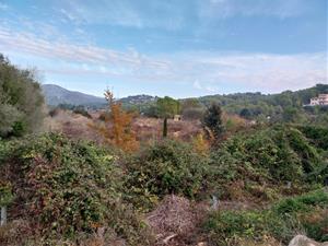 L’ACA i l’ARBA signen un conveni de custòdia fluvial del riu Foix, entre Castellet i Cubelles