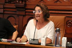 L’Ajuntament de Sitges es personarà a la causa judicial que investiga la relació amb la Taula del Tercer Sector Social. ACN