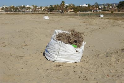 L’APMA denuncia a la Fiscalia les recents actuacions a la platja de Ribes Roges. APMA