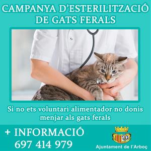 L'Arboç posa en marxa una campanya d'esterilització de gats ferals. EIX