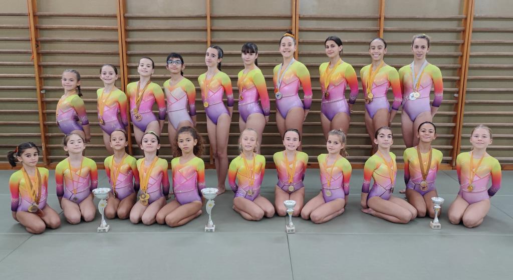 Les gimnastes del CG Vilanova al torneig Osonagym. Eix