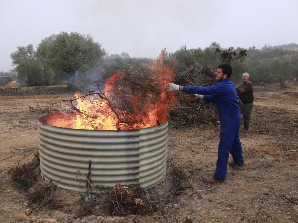 Les petites explotacions agràries ja poden cremar restes vegetals sense autorització excepcional. ACN
