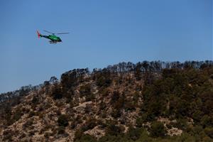 L’incendi de Calafell entra en fase de control, després de calcinar 24 hectàrees. ACN