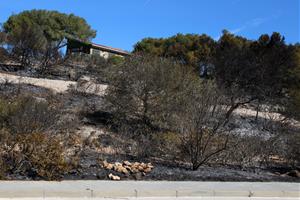 L’incendi de Calafell entra en fase de control, després de calcinar 24 hectàrees