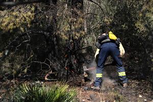 L’incendi de Calafell entra en fase de control, després de calcinar 24 hectàrees