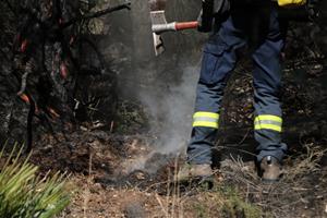 L’incendi de Calafell entra en fase de control, després de calcinar 24 hectàrees