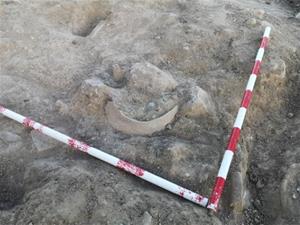 Nova troballa de restes arqueològiques a la vila romana de Darró de Vilanova i la Geltrú