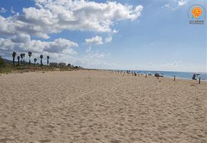 Platja de Les Madrigueres al Vendrell. FEN