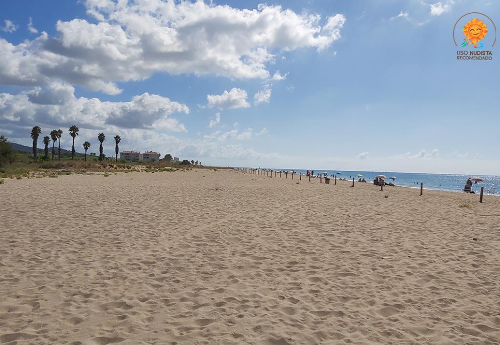 Platja de Les Madrigueres al Vendrell. FEN