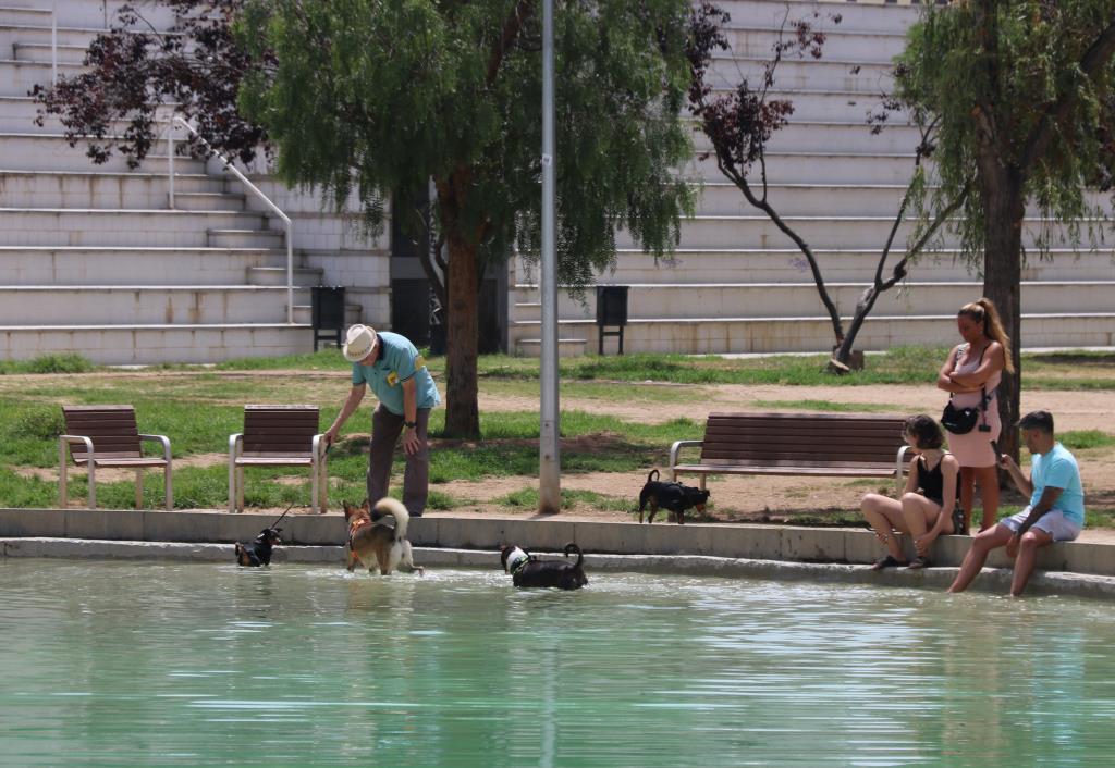 Protecció Civil activa en alerta el pla PROCICAT per calor molt intensa a partir de dimarts. ACN