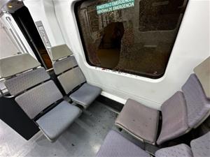 Quatre identificats, tres dels quals menors, pels actes vandàlics a un tren a Santa Margarida i els Monjos. ACN