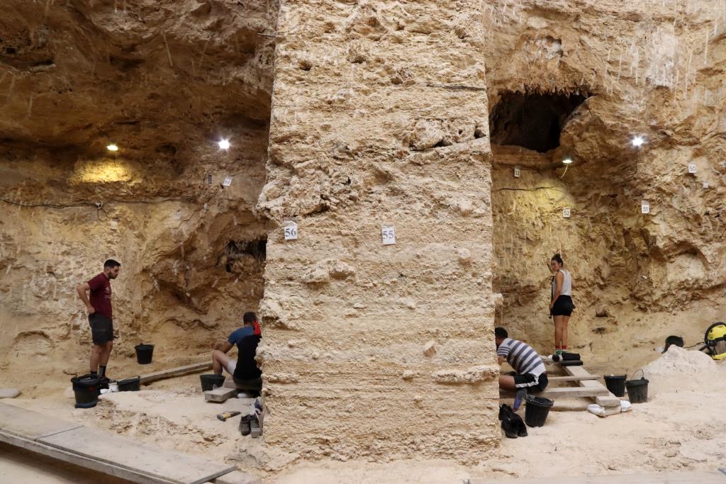 Resoldre les incògnites que envolten el crani de neandertal de l'Abric Romaní, repte de la nova campanya d'excavacions. ACN