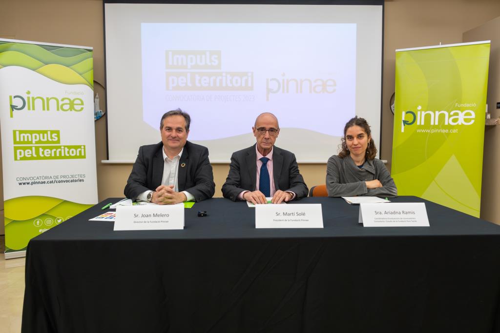 Sessió formativa per a les enitats que volen accedir a la convocatòria de projectes d’Impuls pel territori de la fundació Pinnae. Fundació Pinnae