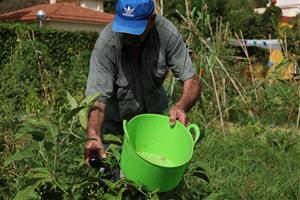 Treballar la salut emocional a través de les plantes, l’aposta d’un grup professionals de l’atenció primària a Cubelles . Generalitat de Catalunya