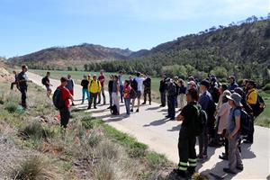 Un projecte europeu estudia els beneficis dels focs controlats en la gestió dels grans incendis forestals. ACN