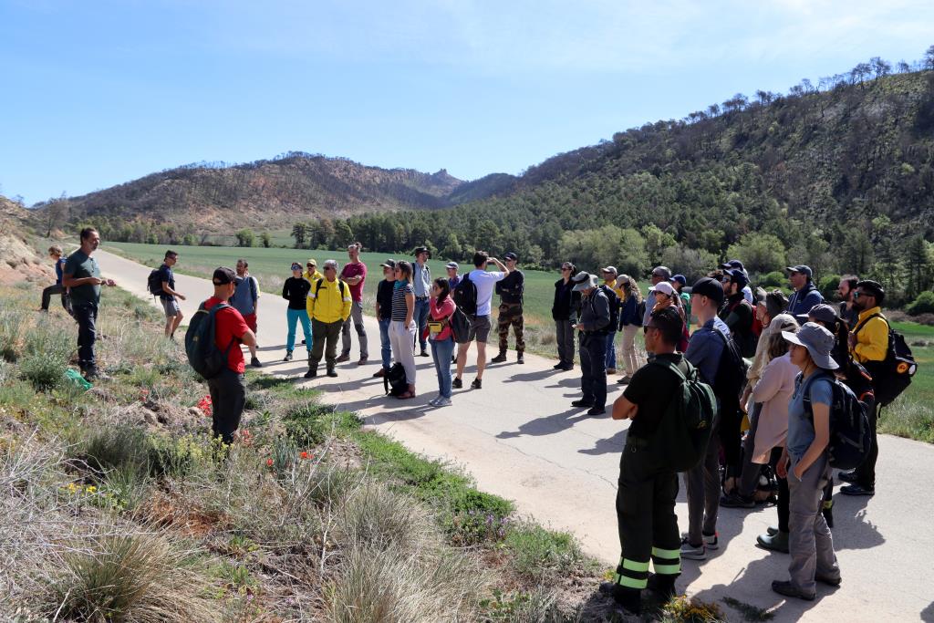 Un projecte europeu estudia els beneficis dels focs controlats en la gestió dels grans incendis forestals. ACN