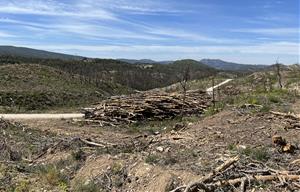 Un projecte europeu estudia els beneficis dels focs controlats en la gestió dels grans incendis forestals