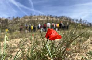 Un projecte europeu estudia els beneficis dels focs controlats en la gestió dels grans incendis forestals