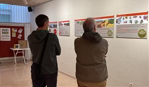 Una exposició reuneix tots els macroprojectes de renovables a l'Anoia: 