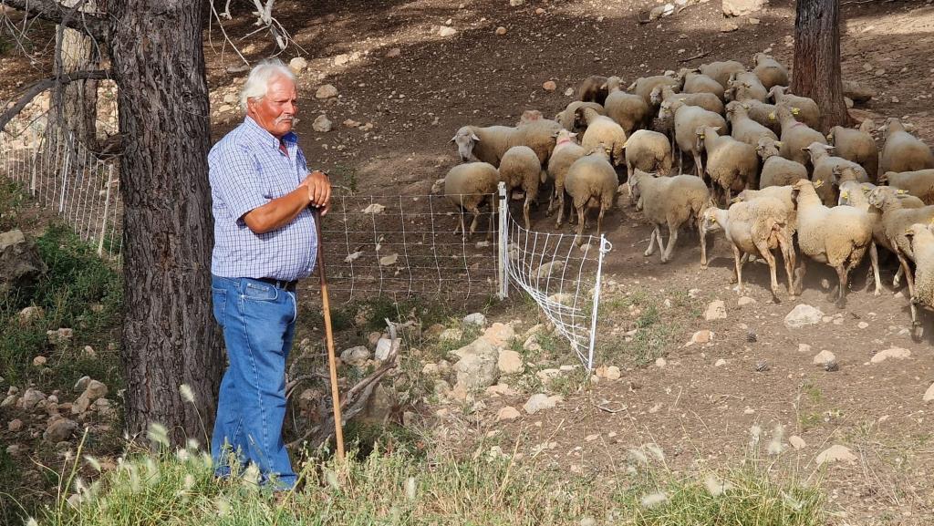 Una ruta turística reproduirà l'experiència dels pastors d'ovelles amb la gastronomia i els paisatges del Baix Penedès. CC Baix Penedès