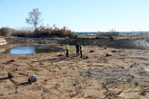 Vilanova i la Geltrú recupera els antics aiguamolls de la Platja Llarga, zona en procés de desurbanització. ACN